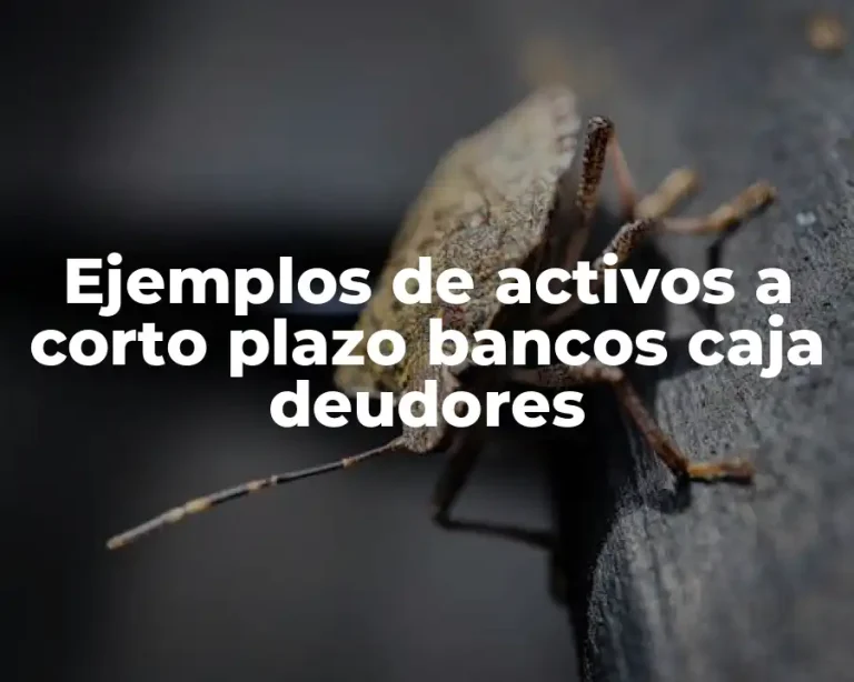 Ejemplos de activos a corto plazo bancos caja deudores