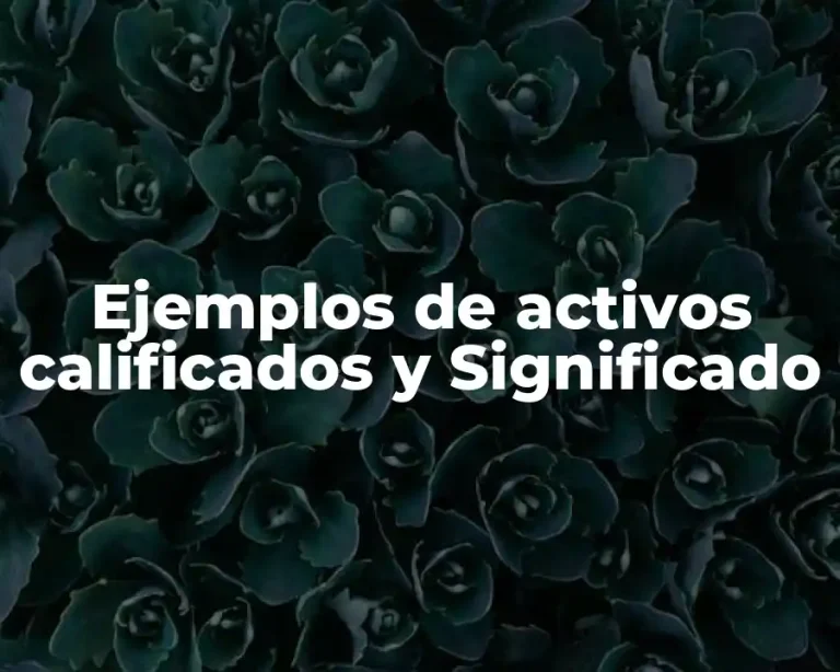 Ejemplos de activos calificados y Significado