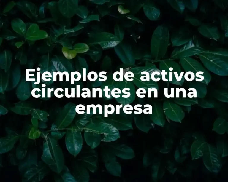 Ejemplos de activos circulantes en una empresa