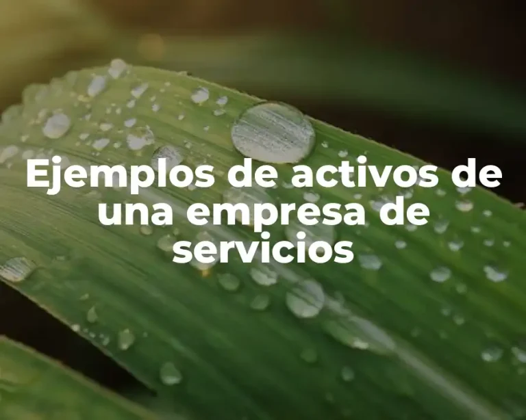 Ejemplos de activos de una empresa de servicios
