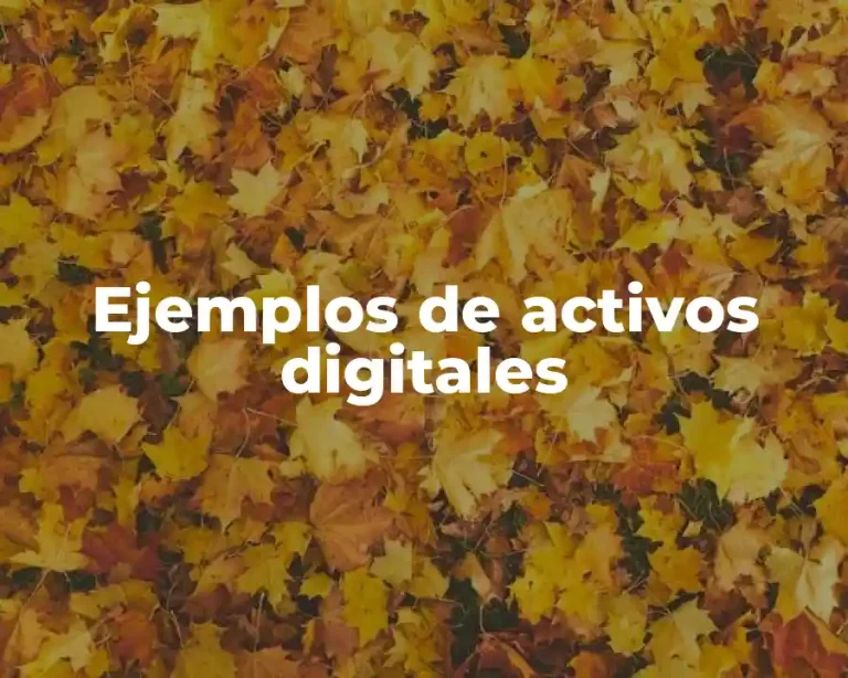 Ejemplos de activos digitales