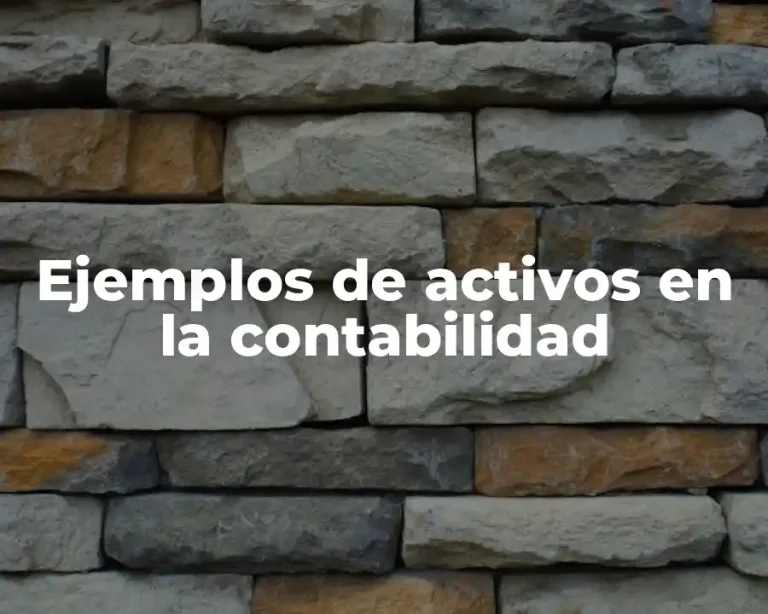 Ejemplos de activos en la contabilidad