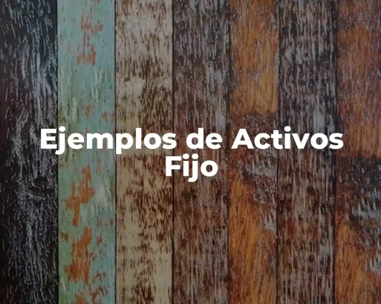 Ejemplos de Activos Fijo