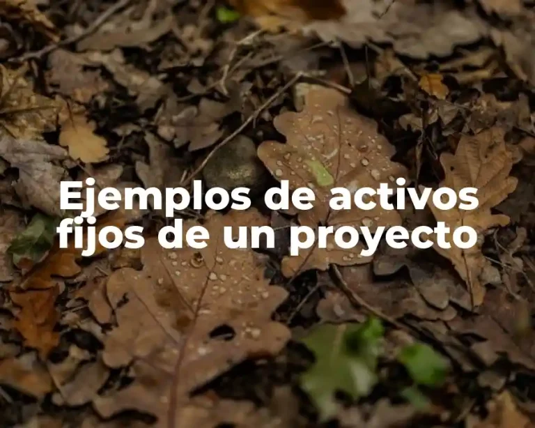 Ejemplos de activos fijos de un proyecto