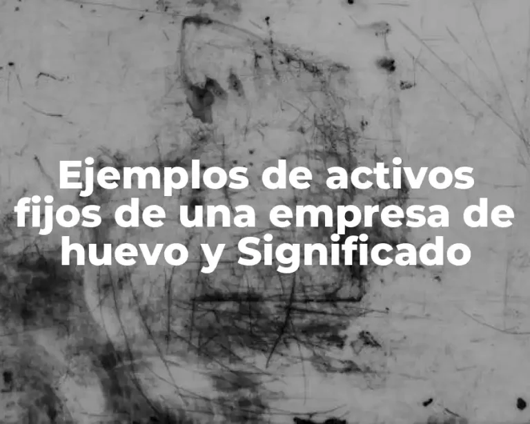 Ejemplos de activos fijos de una empresa de huevo y Significado