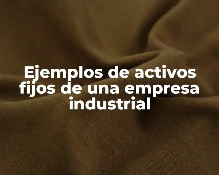 Ejemplos de activos fijos de una empresa industrial
