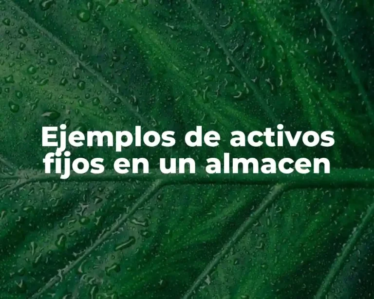 Ejemplos de activos fijos en un almacen