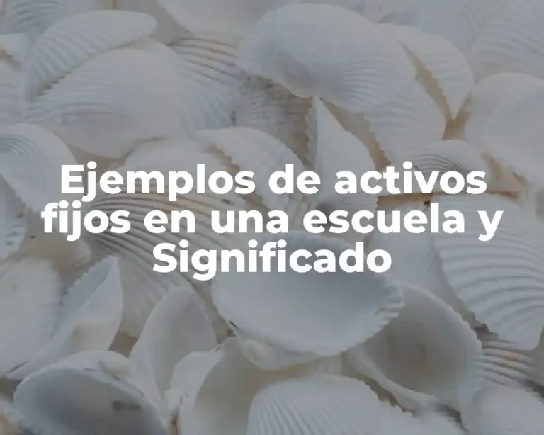 Ejemplos de activos fijos en una escuela y Significado