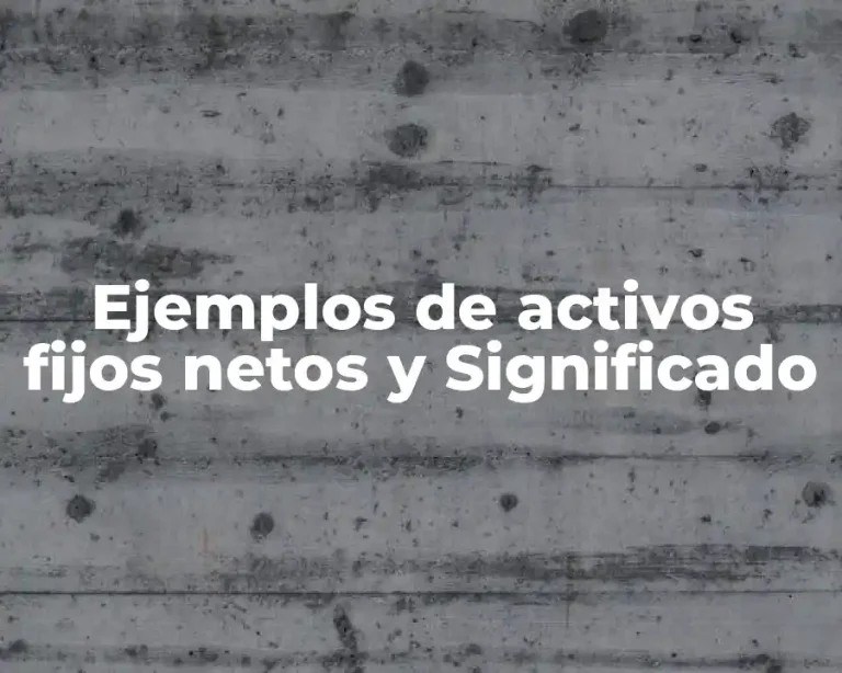 Ejemplos de activos fijos netos y Significado