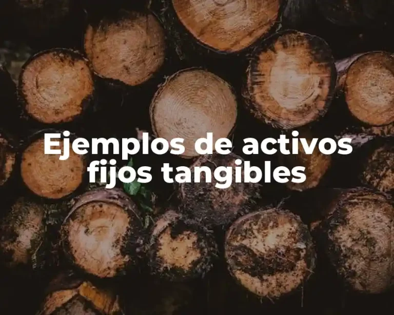 Ejemplos de activos fijos tangibles