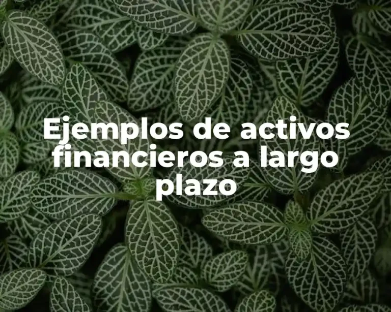 Ejemplos de activos financieros a largo plazo