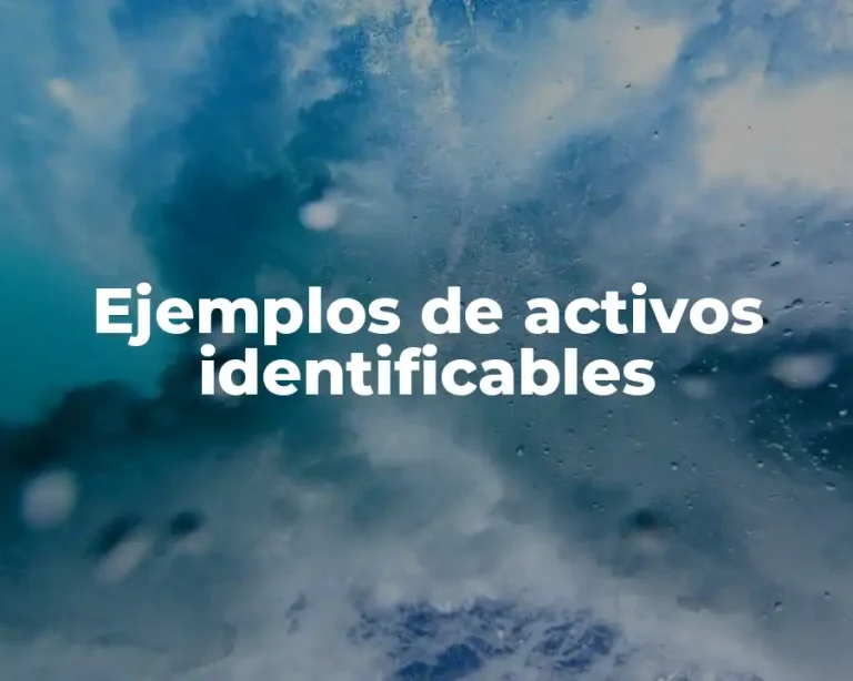 Ejemplos de activos identificables