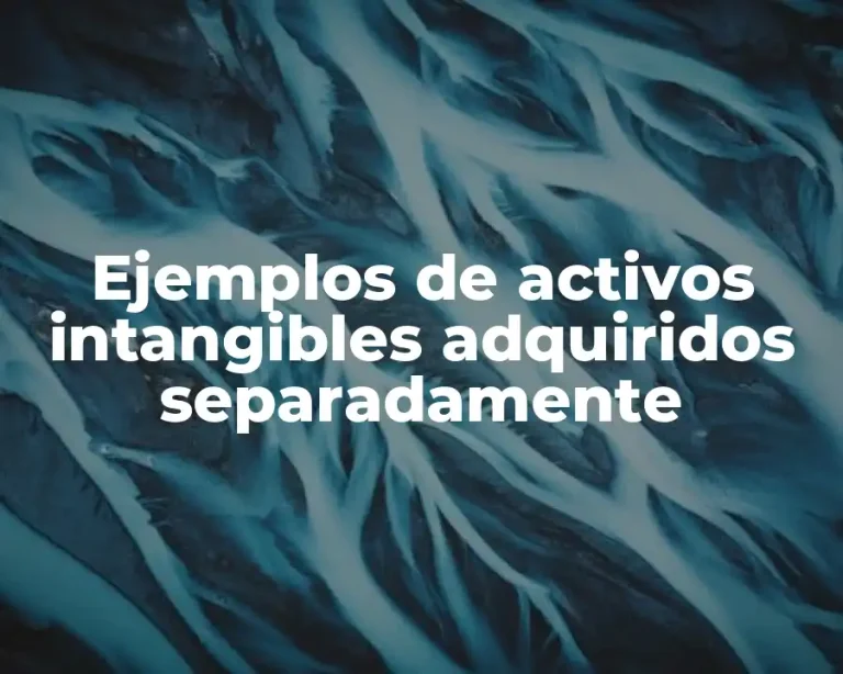 Ejemplos de activos intangibles adquiridos separadamente