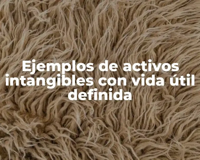 Ejemplos de activos intangibles con vida útil definida