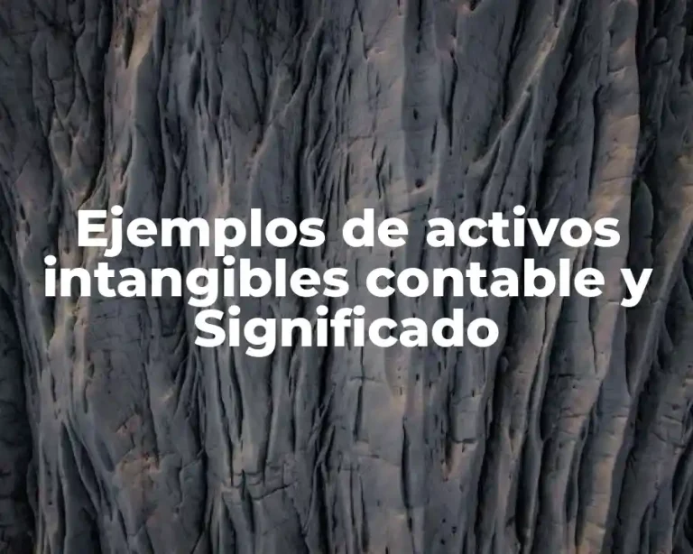 Ejemplos de activos intangibles contable y Significado