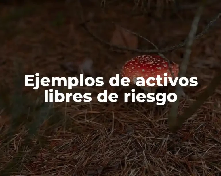 Ejemplos de activos libres de riesgo