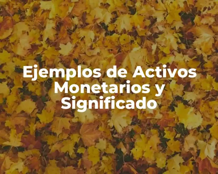 Ejemplos de Activos Monetarios y Significado