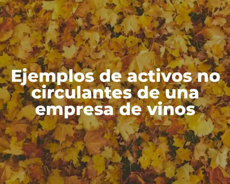 Ejemplos de activos no circulantes de una empresa de vinos