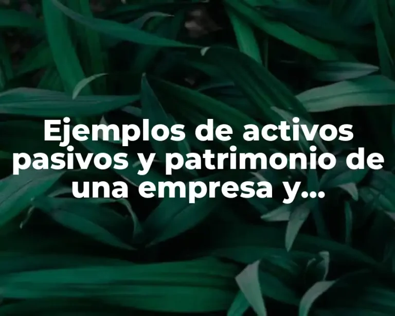 Ejemplos de activos pasivos y patrimonio de una empresa y Significado