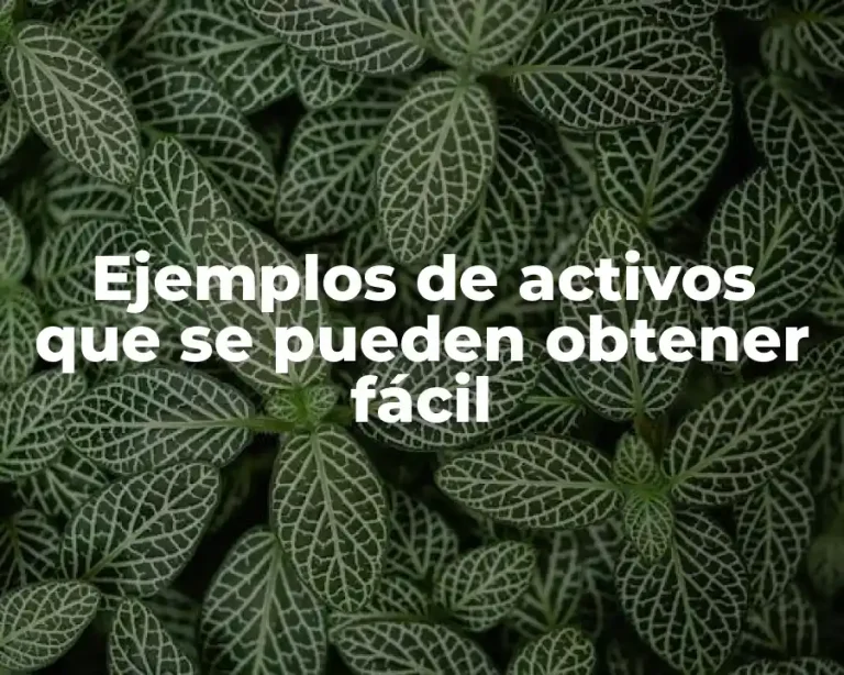 Ejemplos de activos que se pueden obtener fácil