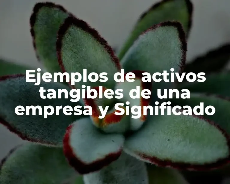 Ejemplos de activos tangibles de una empresa y Significado