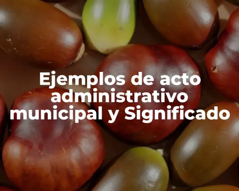 Ejemplos de acto administrativo municipal y Significado