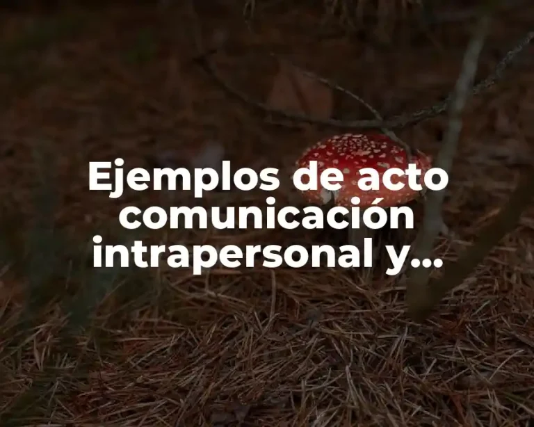 Ejemplos de acto comunicación intrapersonal y Significado