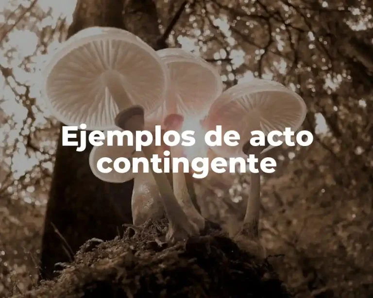 Ejemplos de acto contingente