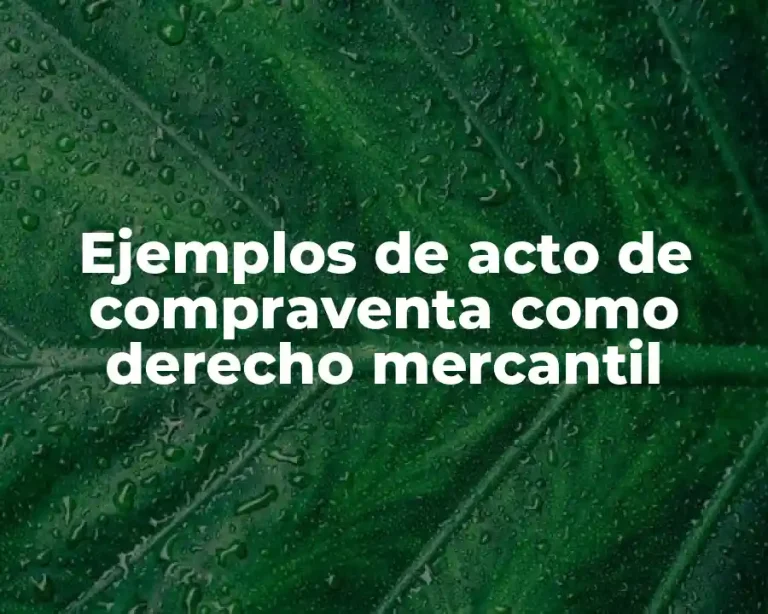 Ejemplos de acto de compraventa como derecho mercantil