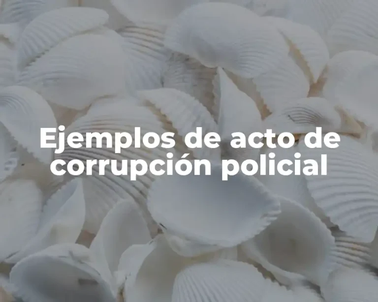 Ejemplos de acto de corrupción policial
