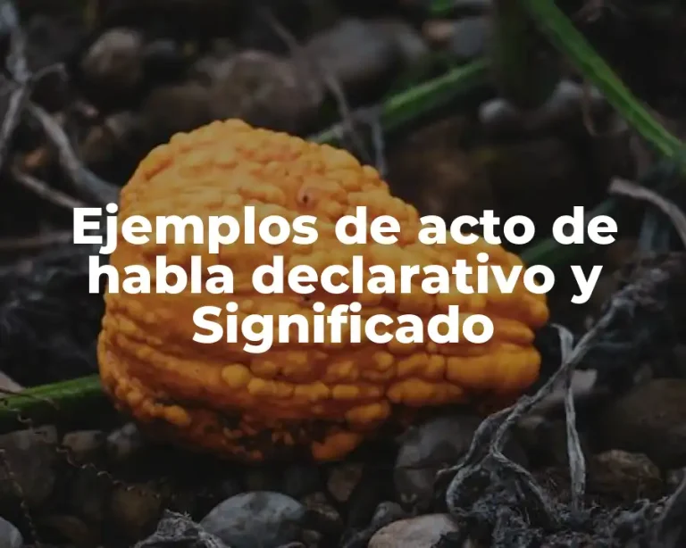 Ejemplos de acto de habla declarativo y Significado