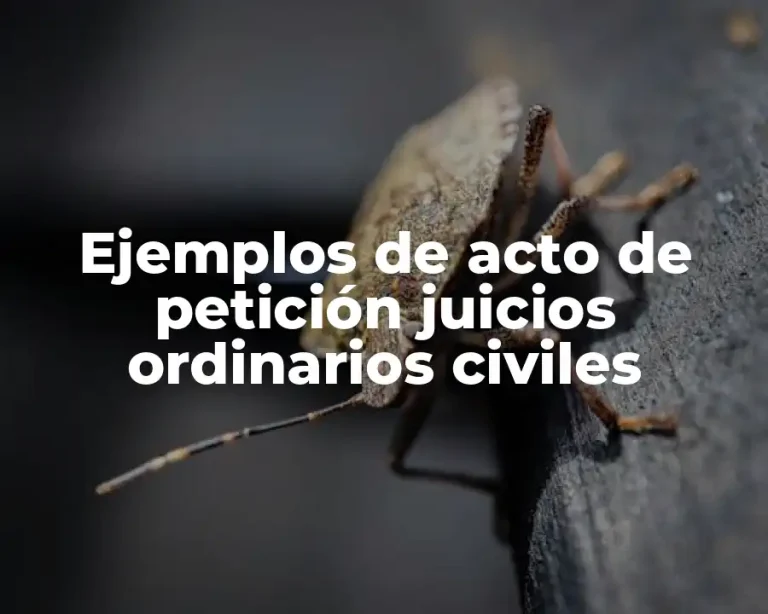 Ejemplos de acto de petición juicios ordinarios civiles