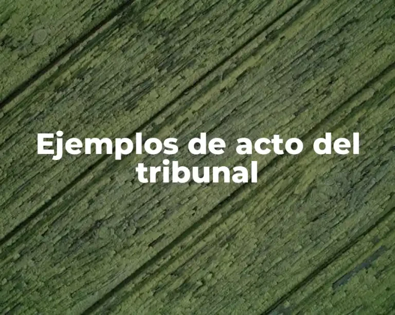 Ejemplos de acto del tribunal