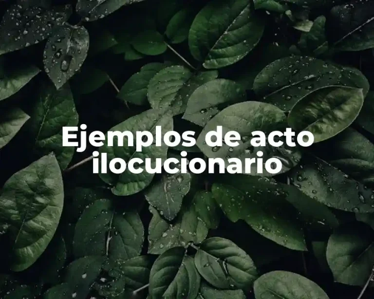 Ejemplos de acto ilocucionario