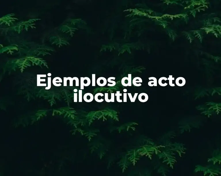 Ejemplos de acto ilocutivo
