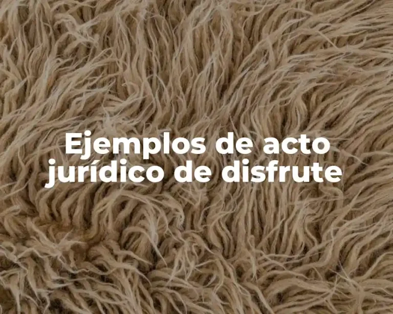 Ejemplos de acto jurídico de disfrute