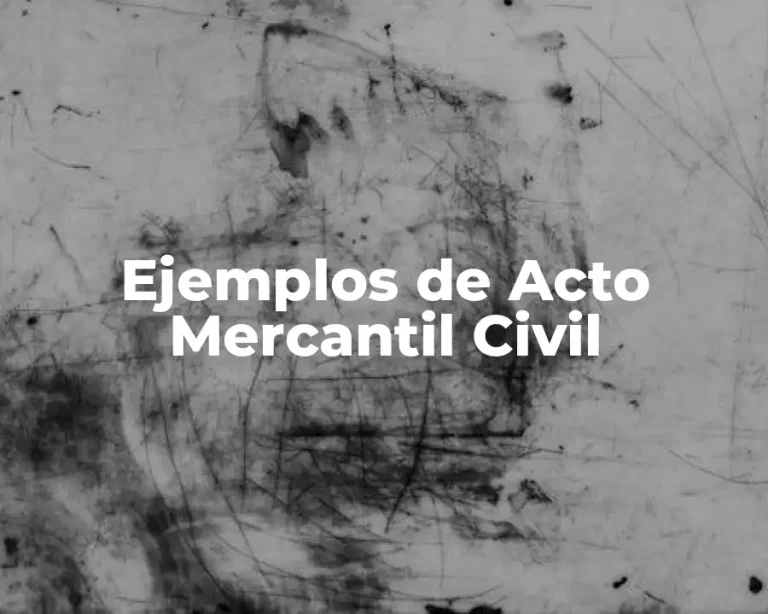 Ejemplos de Acto Mercantil Civil