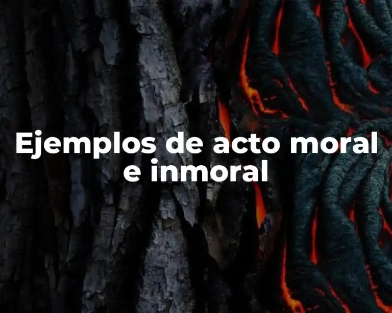 Ejemplos de acto moral e inmoral