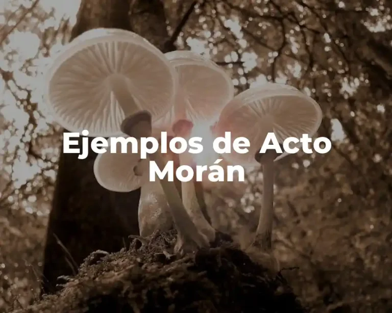 Ejemplos de Acto Morán