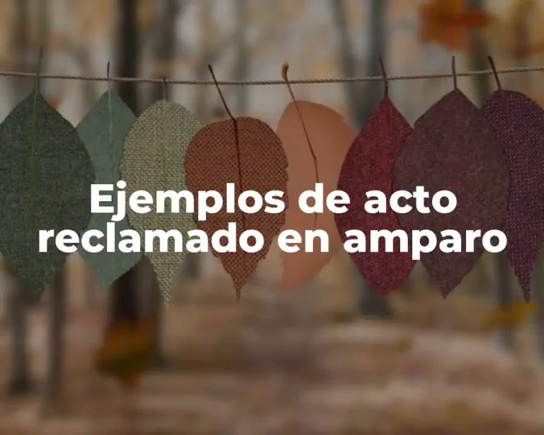 Ejemplos de acto reclamado en amparo