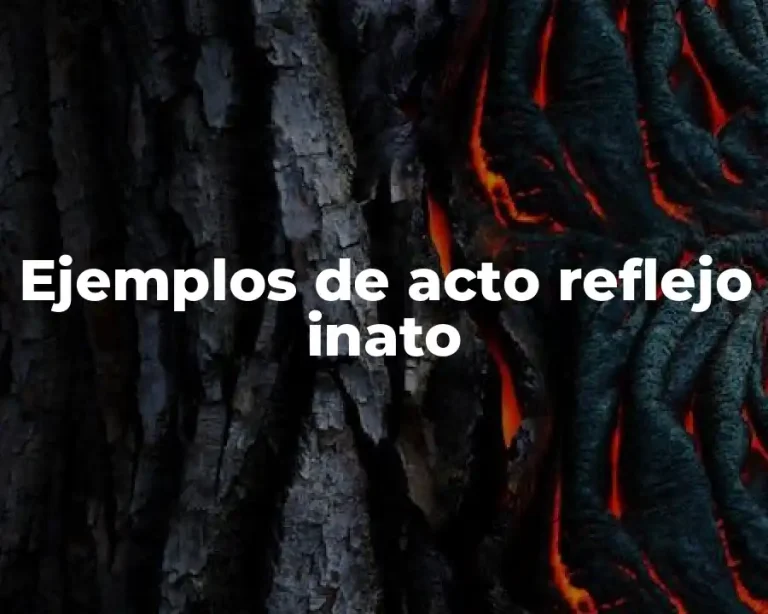 Ejemplos de acto reflejo inato