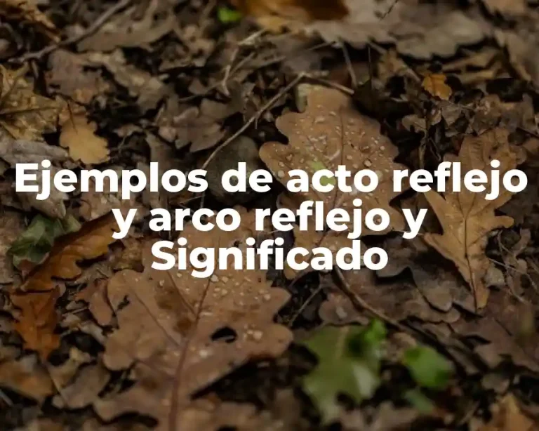 Ejemplos de acto reflejo y arco reflejo y Significado