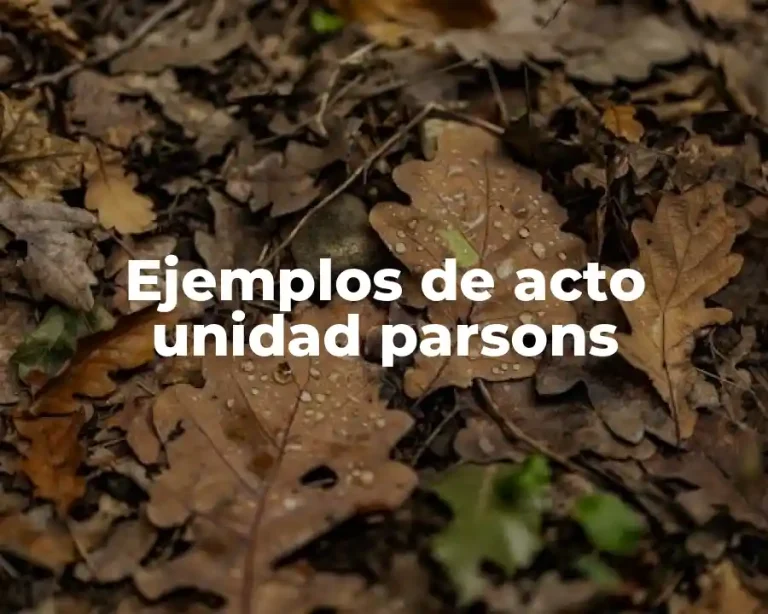 Ejemplos de acto unidad parsons