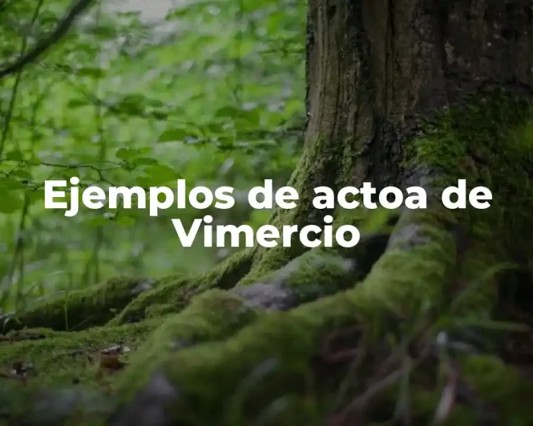 Ejemplos de actoa de Vimercio