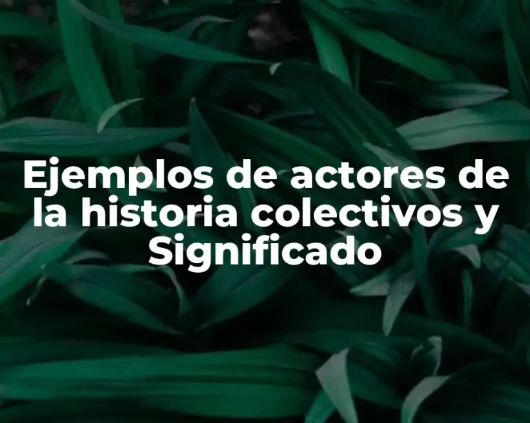 Ejemplos de actores de la historia colectivos y Significado