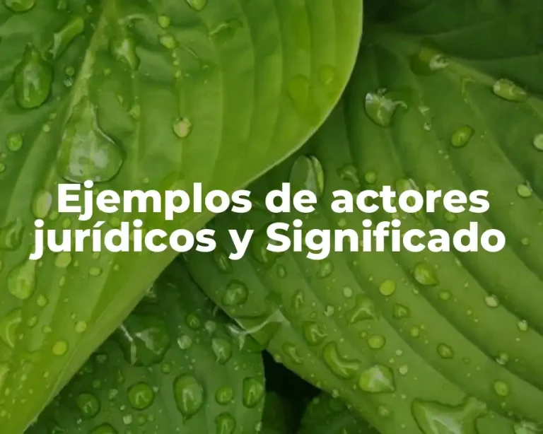Ejemplos de actores jurídicos y Significado