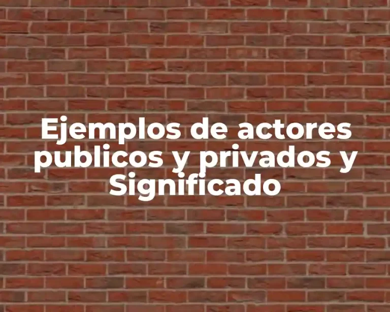 Ejemplos de actores publicos y privados y Significado