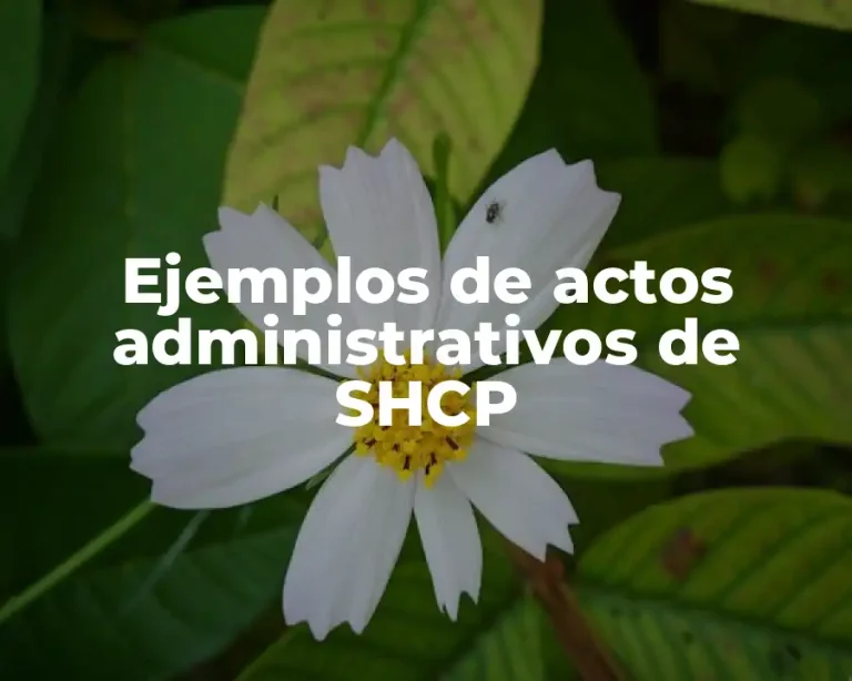 Ejemplos de actos administrativos de SHCP