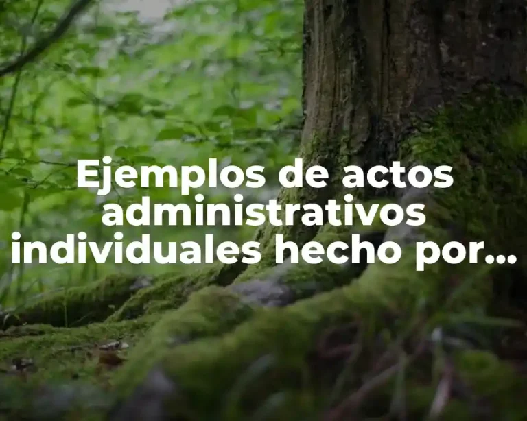Ejemplos de actos administrativos individuales hecho por jóvenes