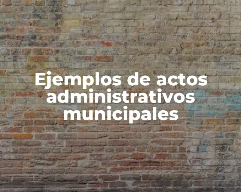 Ejemplos de actos administrativos municipales